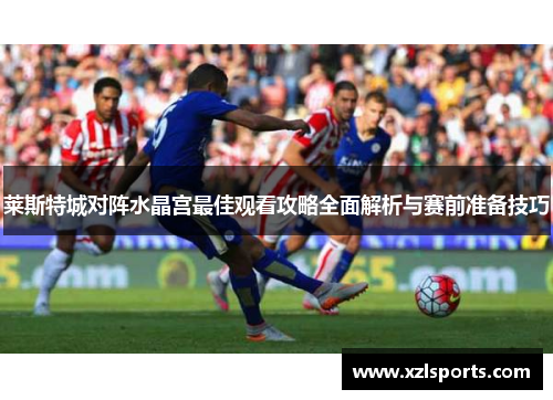 莱斯特城对阵水晶宫最佳观看攻略全面解析与赛前准备技巧 莱斯特城对阵水晶宫最佳观看攻略全面解析与赛前准备技巧