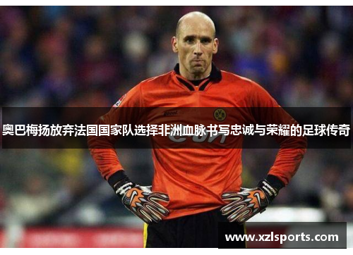 奥巴梅扬放弃法国国家队选择非洲血脉书写忠诚与荣耀的足球传奇 奥巴梅扬放弃法国国家队选择非洲血脉书写忠诚与荣耀的足球传奇